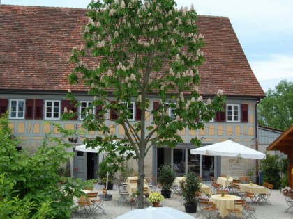 照片: Der Hirschgarten